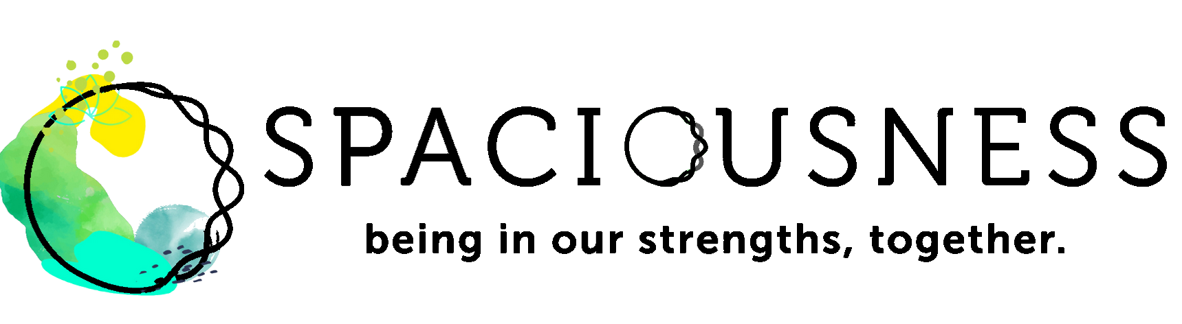 © Spaciousness Works LLC 2026